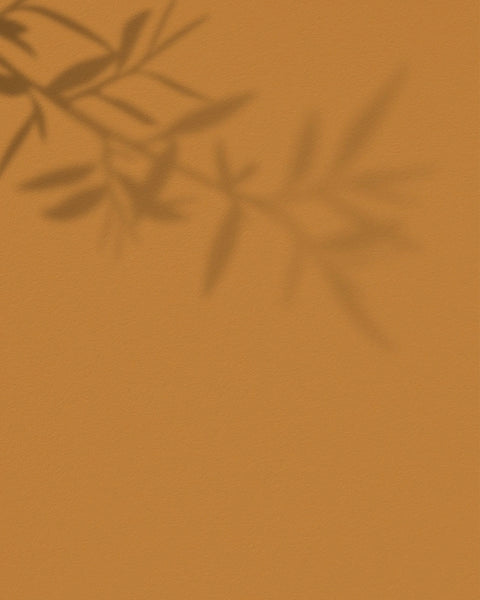 peinture_ecoconçue_mate_le_soleil_maison_deia