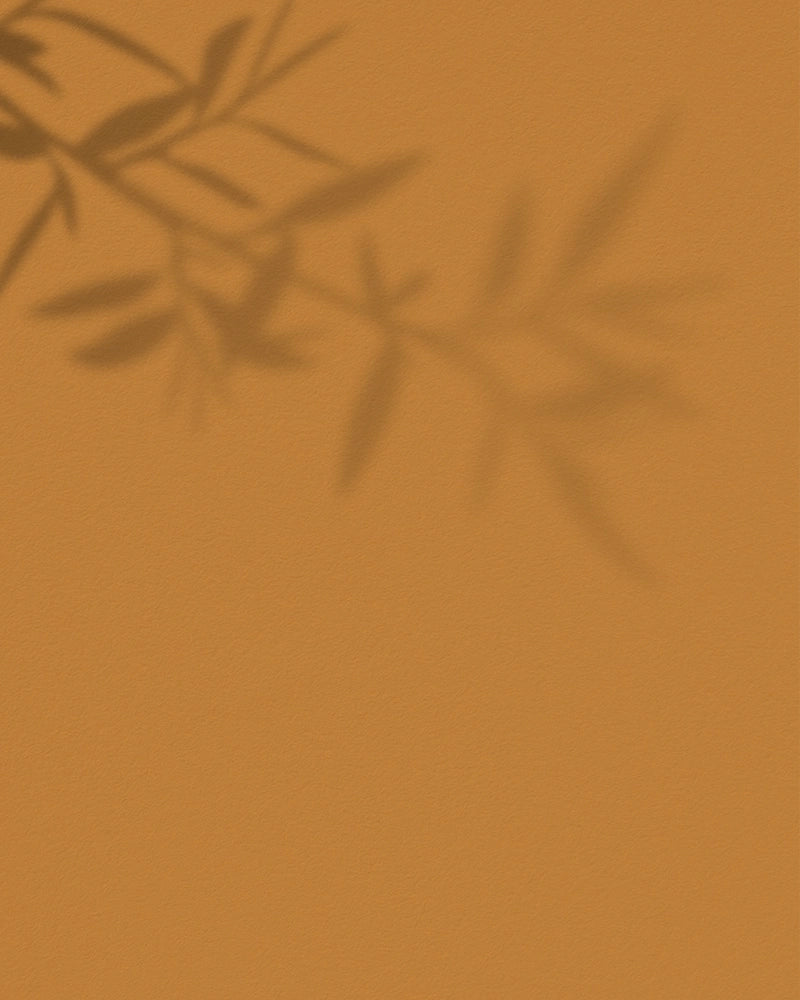 peinture_ecoconçue_mate_le_soleil_maison_deia