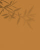 peinture_ecoconçue_mate_le_soleil_maison_deia